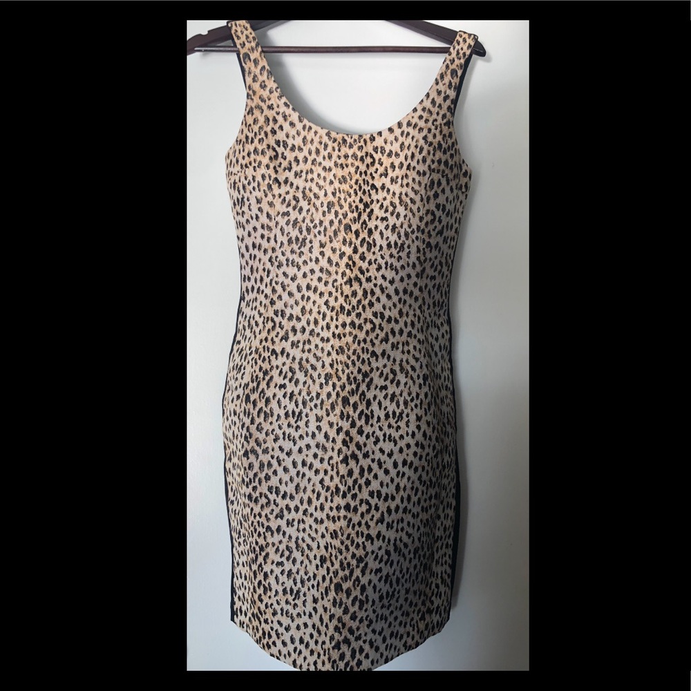 Diane Von Furstenberg Cheetah Print Fitted Dress